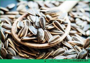 吃瓜吐瓜子,吃瓜吐瓜子，品味生活百态