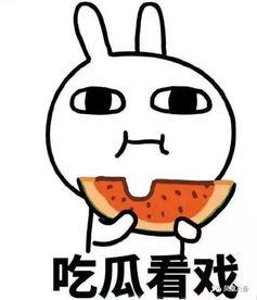 吃瓜怼脸拍照,捕捉瞬间欢乐