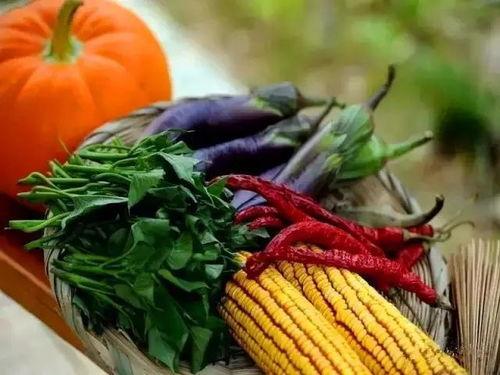 冕宁红军吃瓜,冕宁瓜果助力红军战士战胜艰难