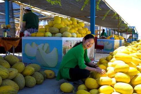 甘肃医院吃瓜,揭秘背后的真相与反思