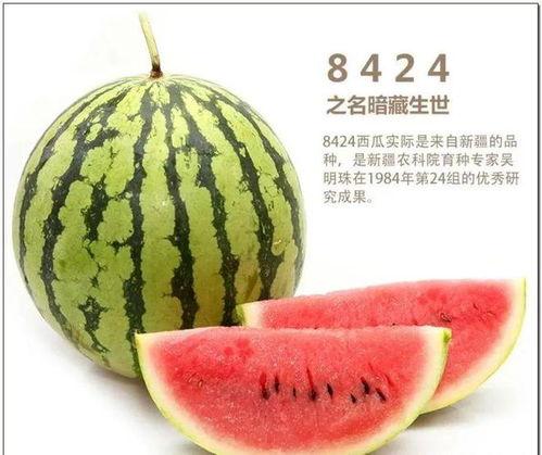 钰儿吃瓜,揭秘娱乐圈那些不为人知的幕后故事