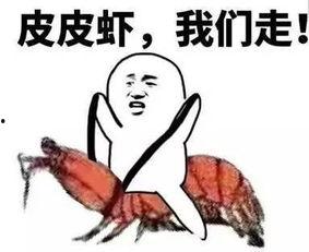 老板吃瓜套路视频全集,揭秘职场笑料连篇的神秘全集