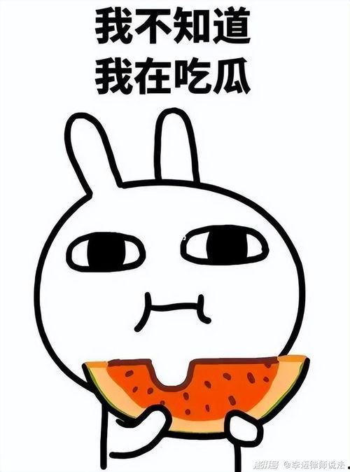 王逗逗吃的瓜