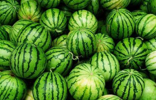 云南蔡总吃瓜,揭秘背后真相与网络热议