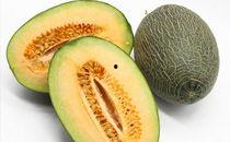 啥季节吃哈密瓜,哈密瓜飘香——夏季哈密瓜美食之旅