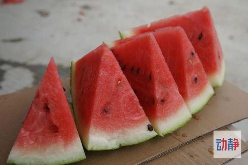 贵州的吃瓜,吃瓜也能吃出山野风情