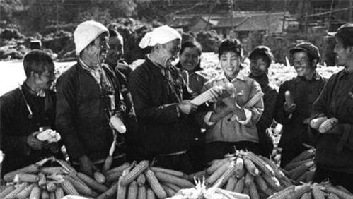 大寨吃瓜视频,揭秘农村夏日生活新风尚