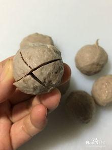 发烧吃煮水瓜,家常食疗的神奇功效