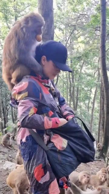 女生蜂拥吃瓜,女生圈的热议现象揭秘