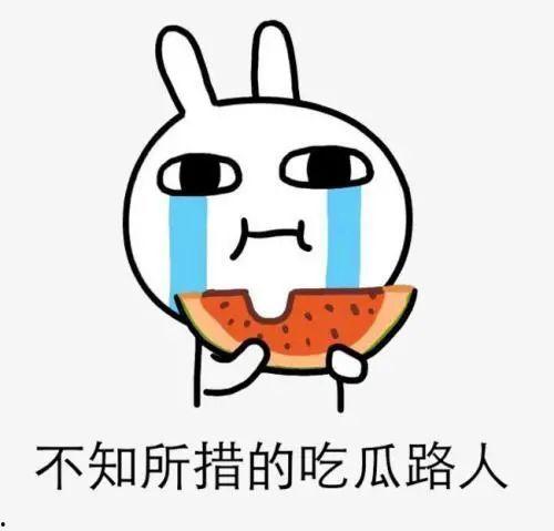 吃瓜掉马甲的意思,网络热词背后的趣味与哲理