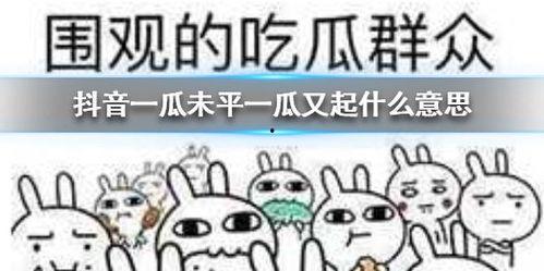 抖音吃瓜群聊,揭秘网络热点背后的故事