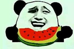 女子吃瓜表白,女子吃瓜中的浪漫邂逅