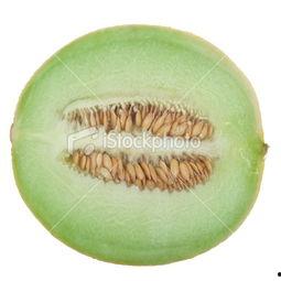 新疆的瓜在哪吃,品味甜蜜之旅