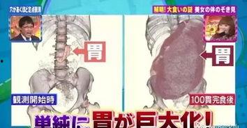 胖胖的吃瓜博主,揭秘娱乐圈那些不为人知的幕后故事