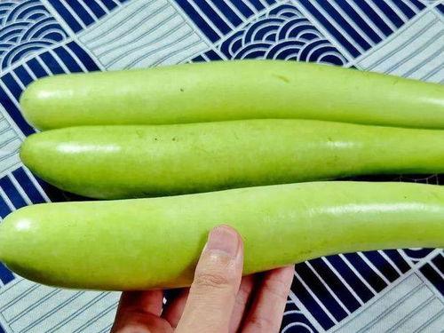 吃瓜98年,见证时代变迁的“瓜界”风云