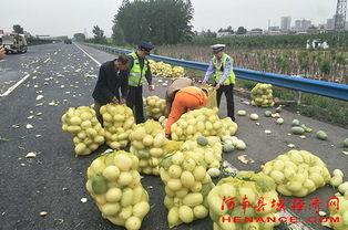 许昌疫情吃瓜情侣,共度时艰，见证爱情