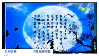 月满西楼吃瓜,揭秘娱乐圈的甜蜜与苦涩