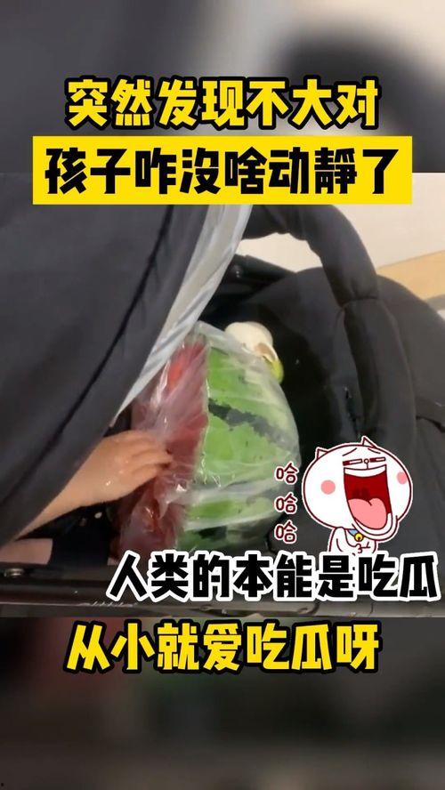 吃瓜孩子打架视频,吃瓜孩子打架事件引发热议