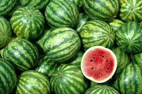 全网吃瓜站,揭秘娱乐圈幕后真相，带你领略明星生活百态