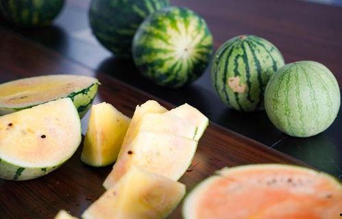 长沙彩虹圈最新吃瓜